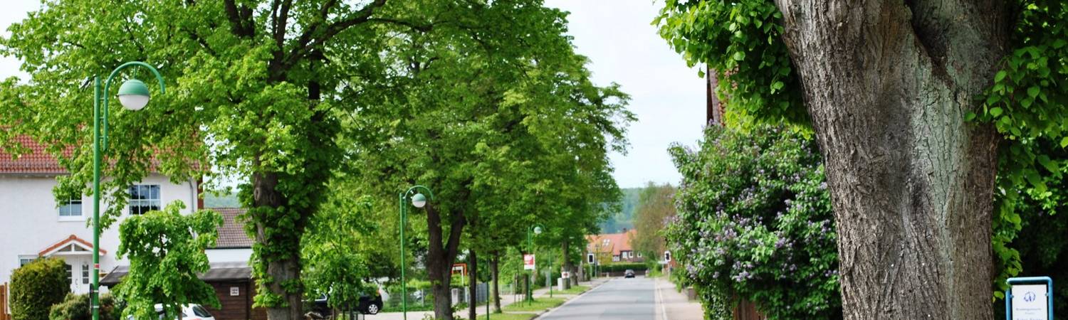 sibbesse kurze halbe
