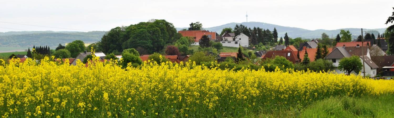 blick über eberholzen zum griesberg