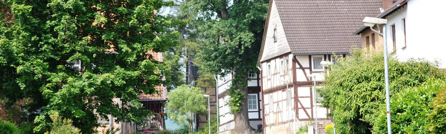 segeste, im dorfe