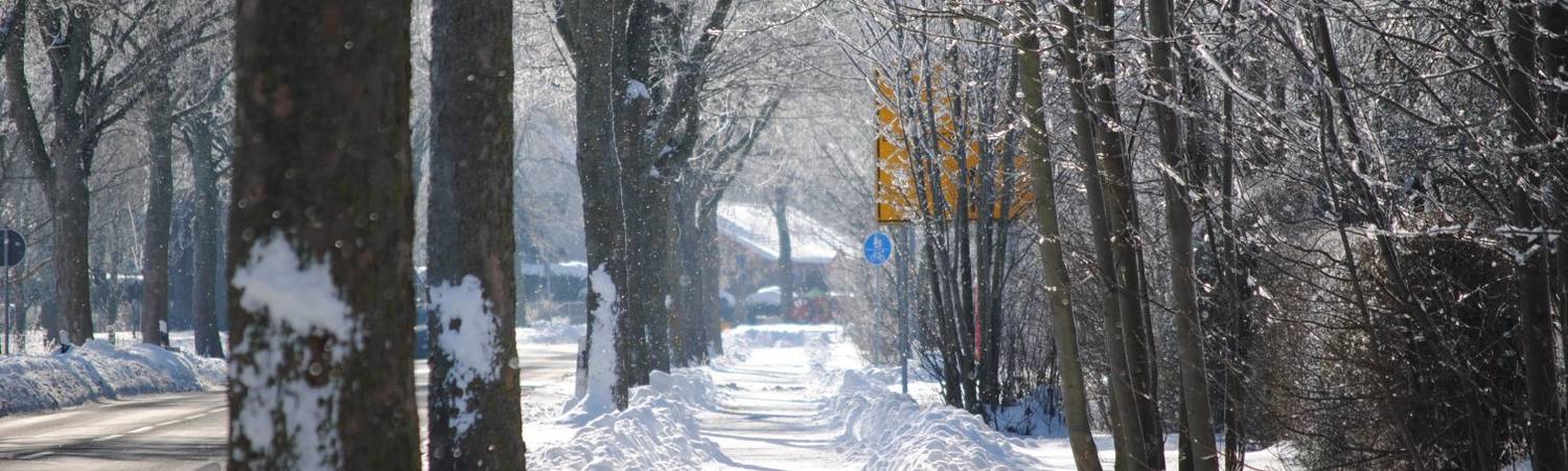 ortseingang sibbesse februar 2021